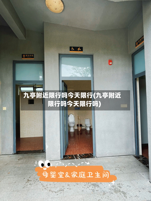 九亭附近限行吗今天限行(九亭附近限行吗今天限行吗)-第3张图片