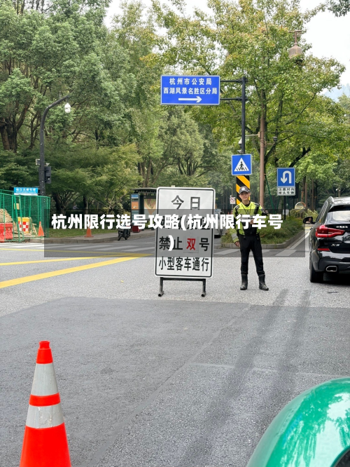 杭州限行选号攻略(杭州限行车号)