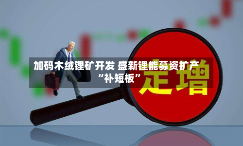 加码木绒锂矿开发 盛新锂能募资扩产“补短板”-第2张图片