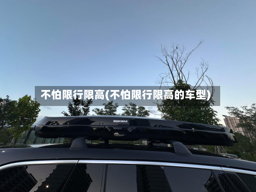 不怕限行限高(不怕限行限高的车型)-第2张图片