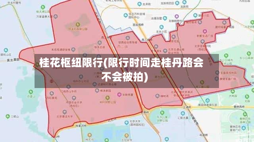 桂花枢纽限行(限行时间走桂丹路会不会被拍)
