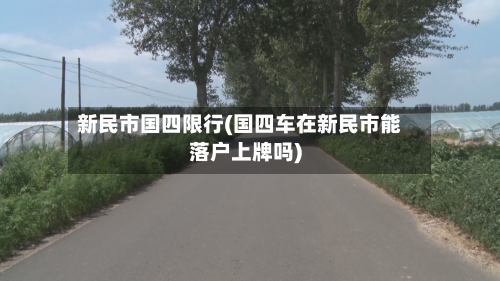 新民市国四限行(国四车在新民市能落户上牌吗)-第3张图片