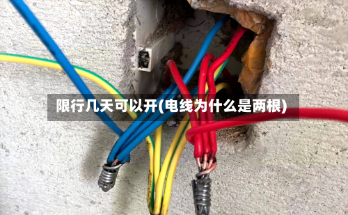 限行几天可以开(电线为什么是两根)
