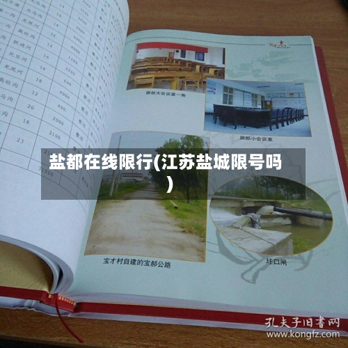 盐都在线限行(江苏盐城限号吗)