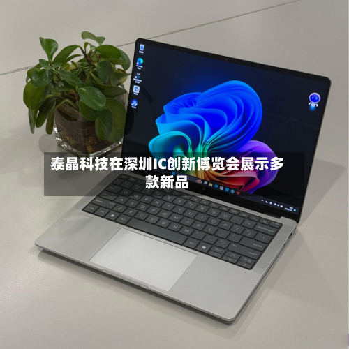 泰晶科技在深圳IC创新博览会展示多款新品-第2张图片