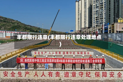 丰都限行违章(丰都限行违章处理地点)