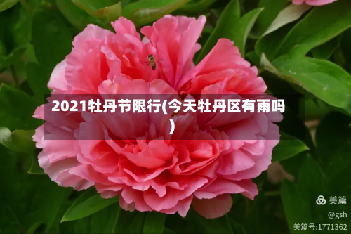 2021牡丹节限行(今天牡丹区有雨吗)