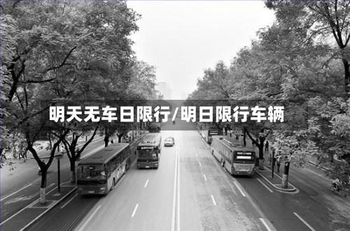 明天无车日限行/明日限行车辆-第2张图片