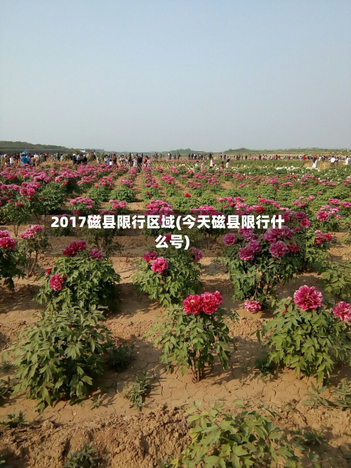 2017磁县限行区域(今天磁县限行什么号)