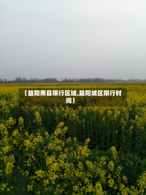 【益阳南县限行区域,益阳城区限行时间】-第3张图片