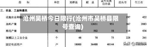 沧州吴桥今日限行(沧州市吴桥县限号查询)