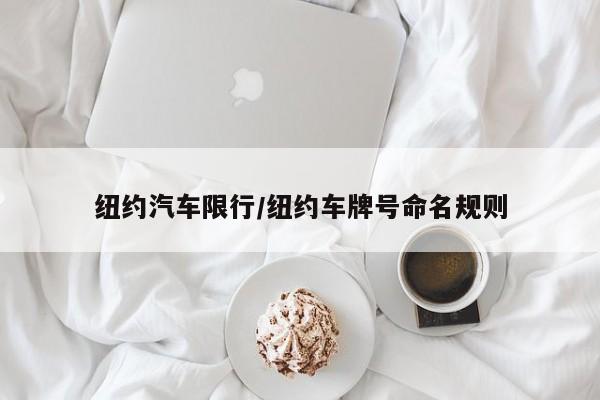 纽约汽车限行/纽约车牌号命名规则