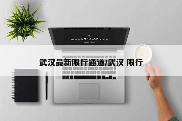 武汉最新限行通道/武汉 限行
