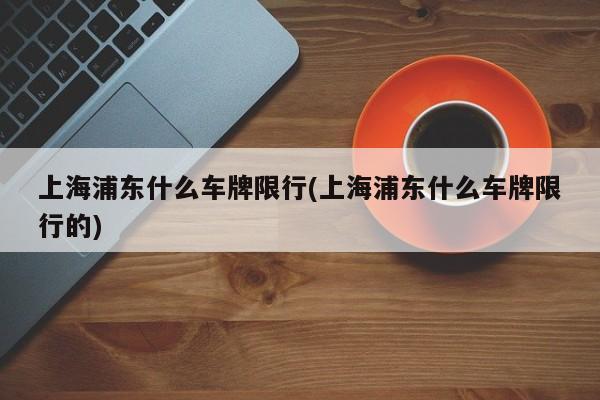 上海浦东什么车牌限行(上海浦东什么车牌限行的)