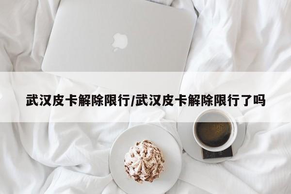 武汉皮卡解除限行/武汉皮卡解除限行了吗