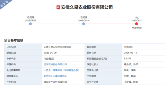 百日撤单背后：国元证券投行的“速度	”与“亏损”